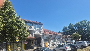 Evropa gori, a Vlada se budi